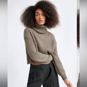 Aritzia babaton Guell sweater in turner taupe